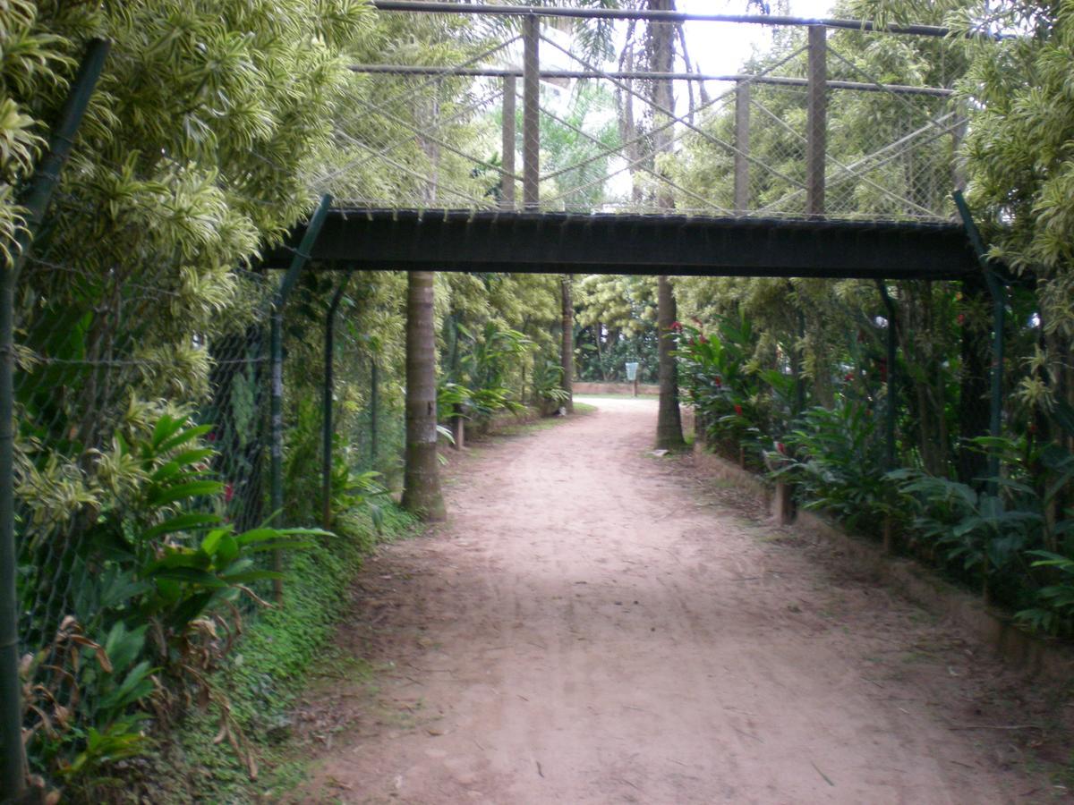 Riviera Sao Lourenco - 100mts Da Praia